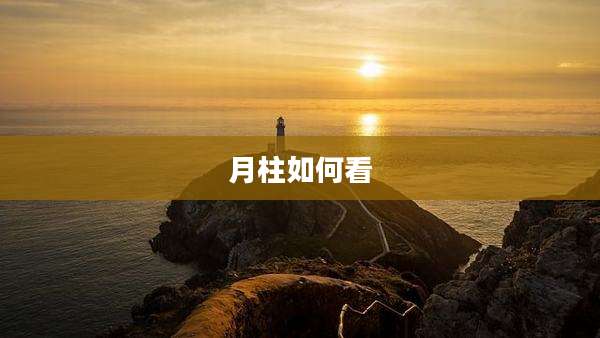 月柱如何看
