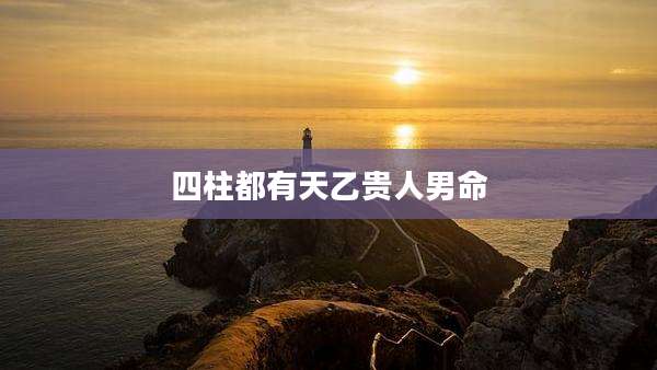 四柱都有天乙贵人男命