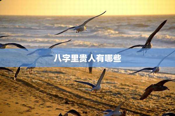 八字里贵人有哪些