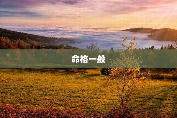 命格一般