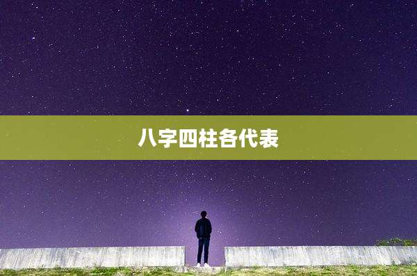 八字四柱各代表