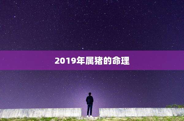 2019年属猪的命理