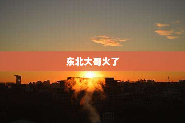东北大哥火了