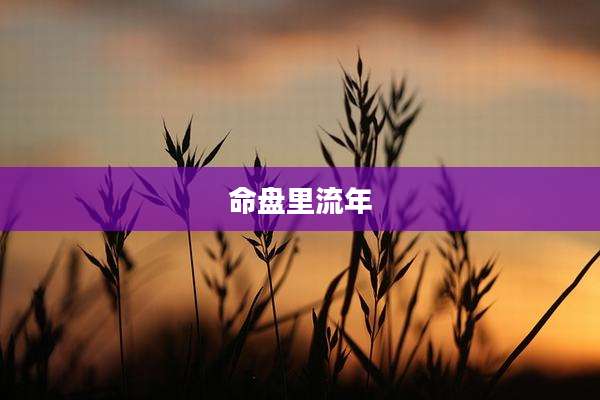 命盘里流年