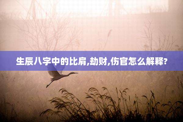 生辰八字中的比肩,劫财,伤官怎么解释?