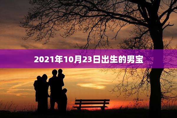2021年10月23日出生的男宝