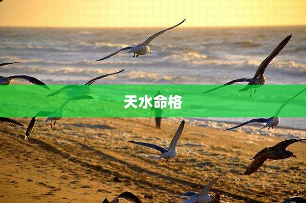 天水命格