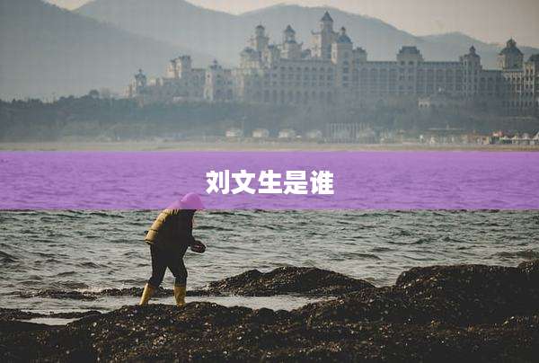 刘文生是谁