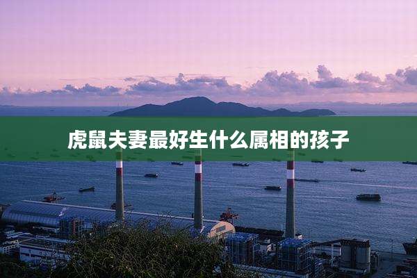虎鼠夫妻最好生什么属相的孩子