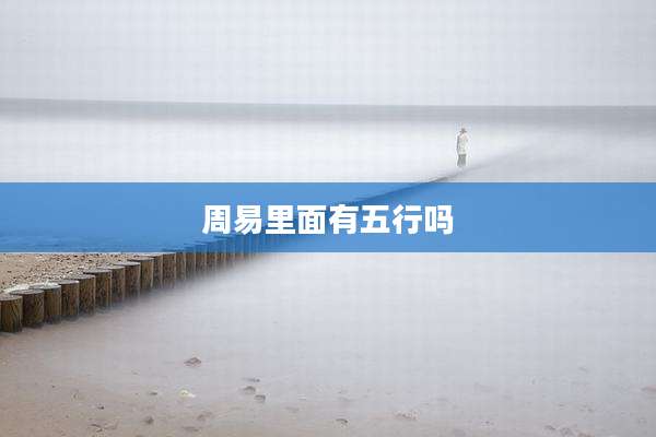 周易里面有五行吗