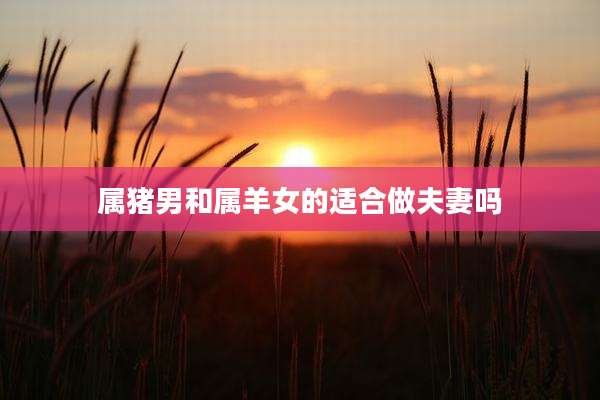 属猪男和属羊女的适合做夫妻吗