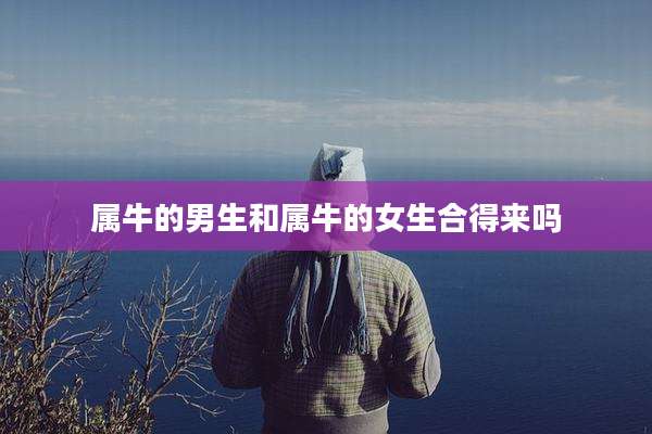 属牛的男生和属牛的女生合得来吗