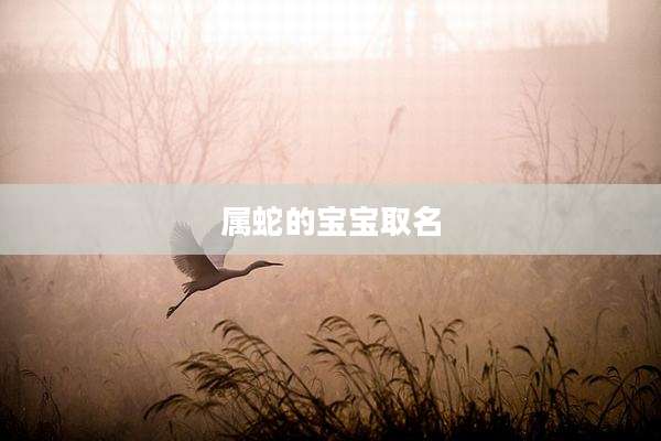 属蛇的宝宝取名