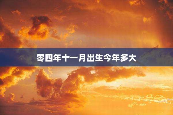 零四年十一月出生今年多大