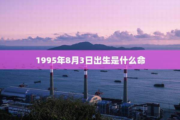1995年8月3日出生是什么命
