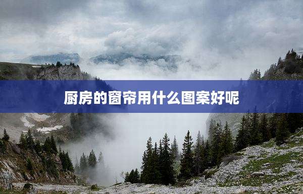 厨房的窗帘用什么图案好呢