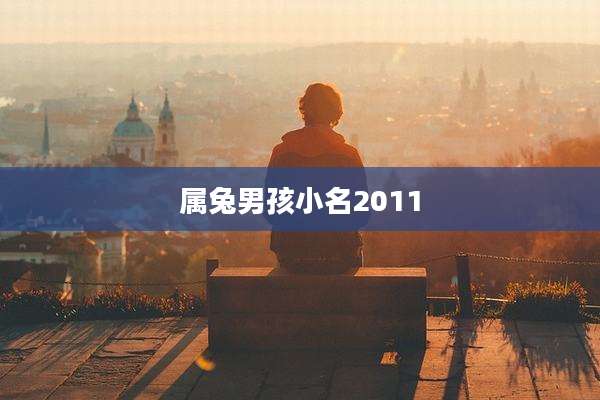 属兔男孩小名2011