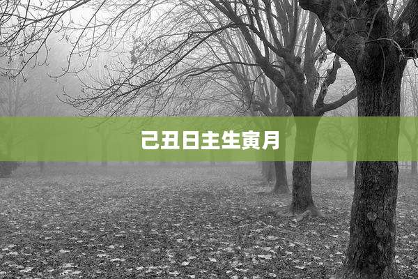 己丑日主生寅月