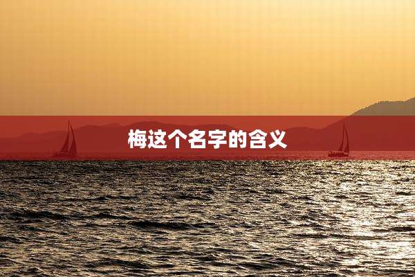 梅这个名字的含义