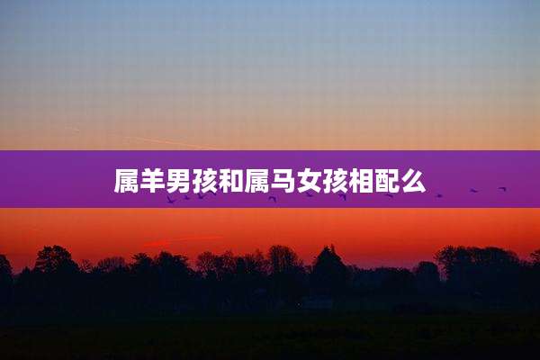 属羊男孩和属马女孩相配么