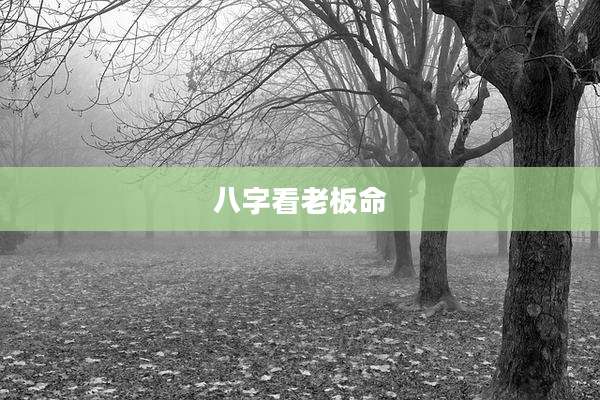 八字看老板命