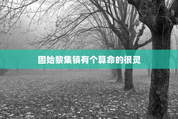 固始黎集镇有个算命的很灵