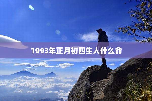1993年正月初四生人什么命