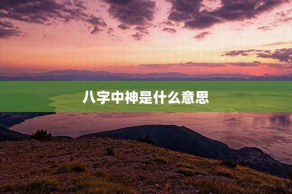 八字中神是什么意思