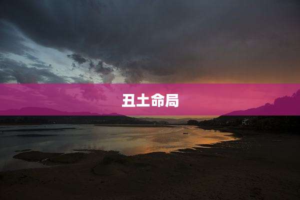 丑土命局