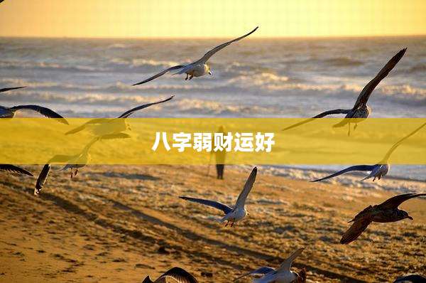 八字弱财运好