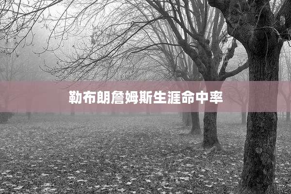 勒布朗詹姆斯生涯命中率