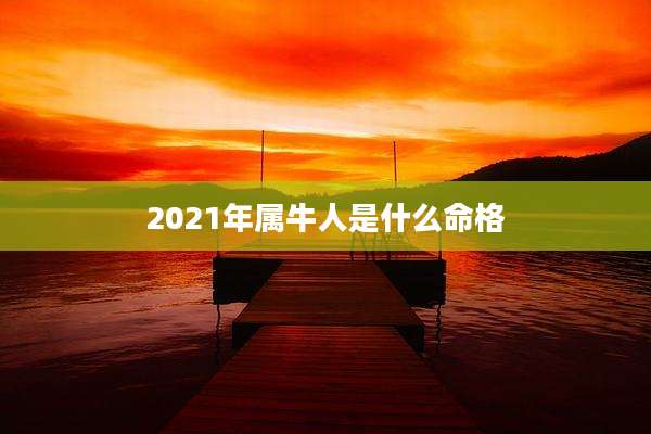 2021年属牛人是什么命格