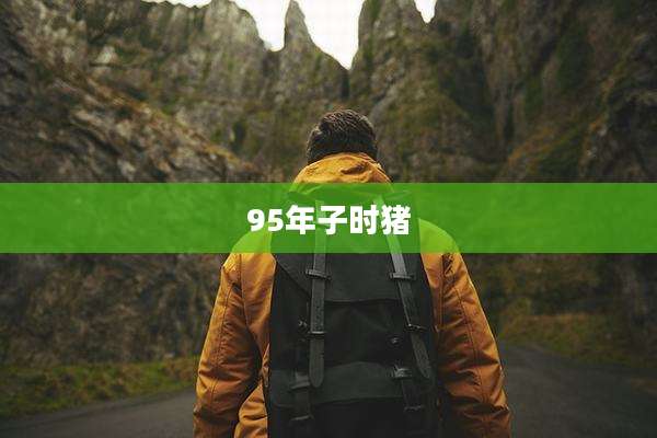95年子时猪