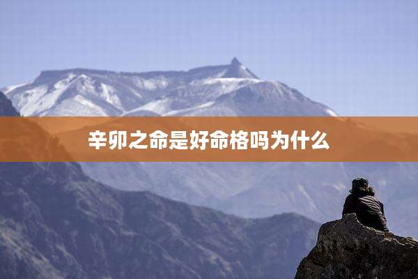 辛卯之命是好命格吗为什么