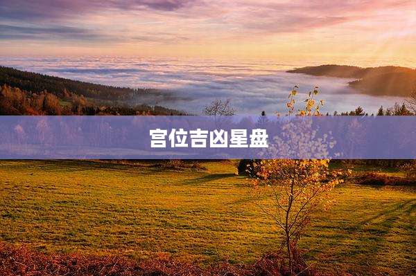 宫位吉凶星盘