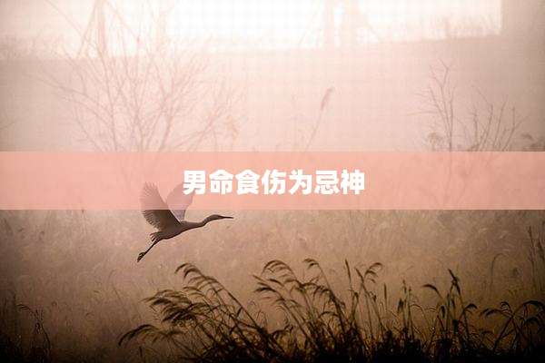 男命食伤为忌神