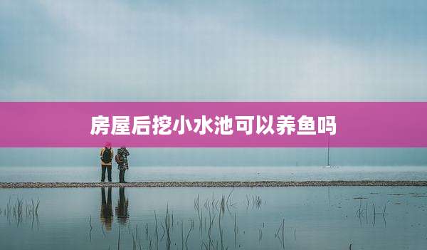 房屋后挖小水池可以养鱼吗