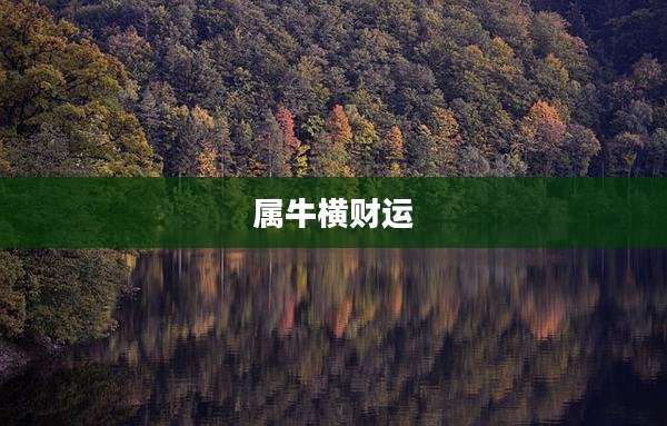属牛横财运