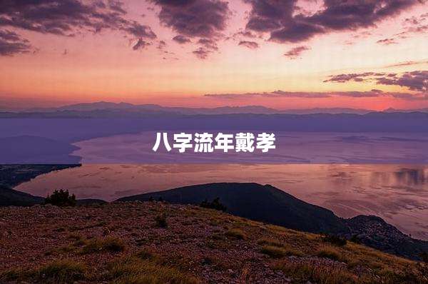八字流年戴孝