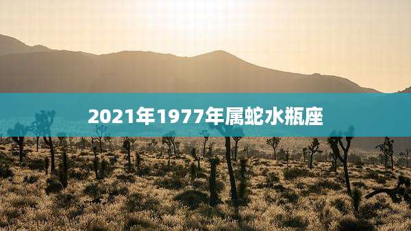 2021年1977年属蛇水瓶座