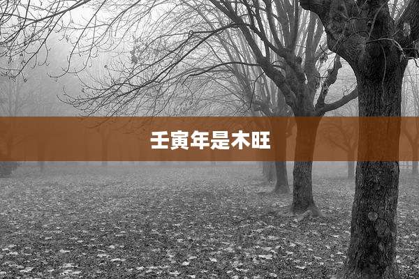 壬寅年是木旺