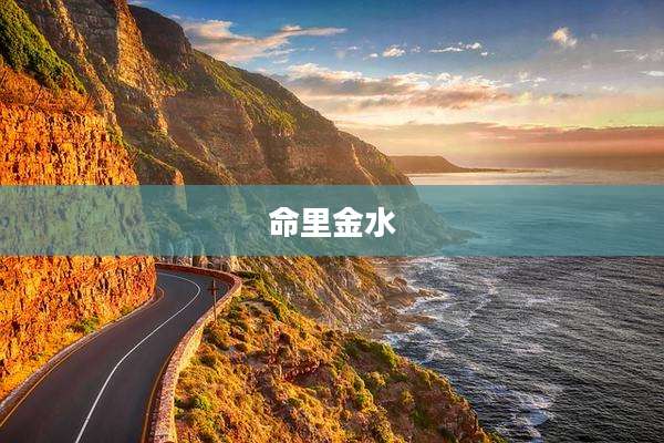 命里金水