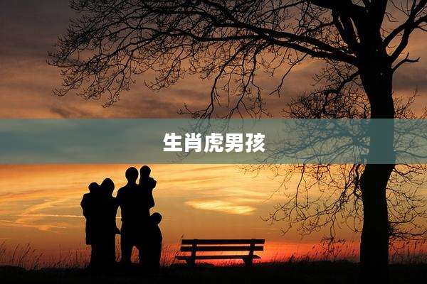 生肖虎男孩