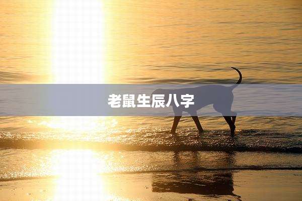 老鼠生辰八字