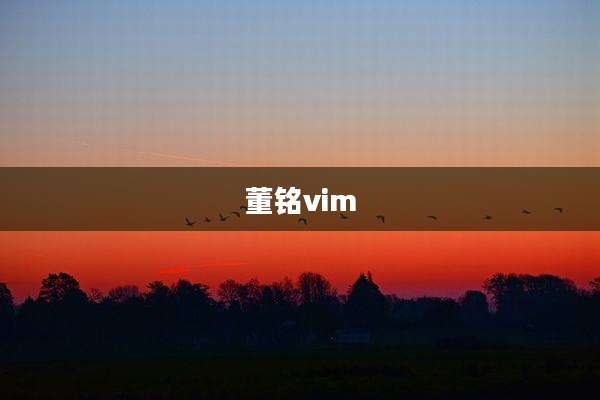 董铭vim