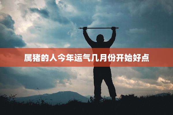 属猪的人今年运气几月份开始好点