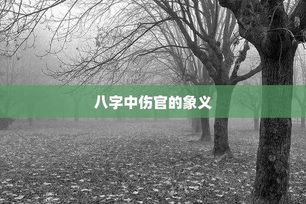 八字中伤官的象义