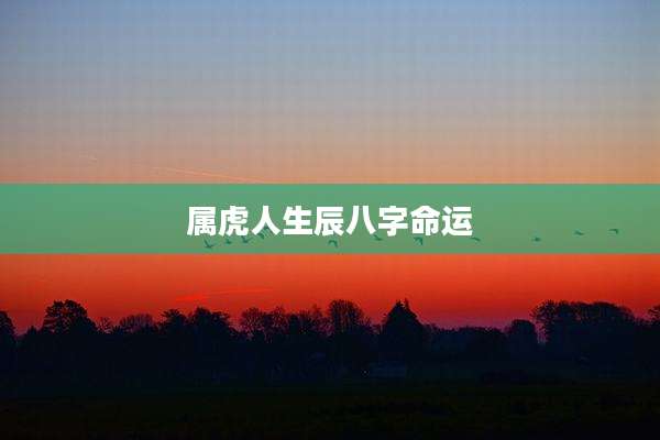 属虎人生辰八字命运
