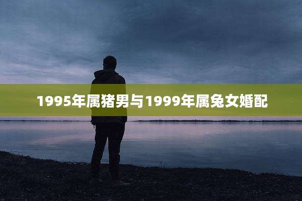 1995年属猪男与1999年属兔女婚配