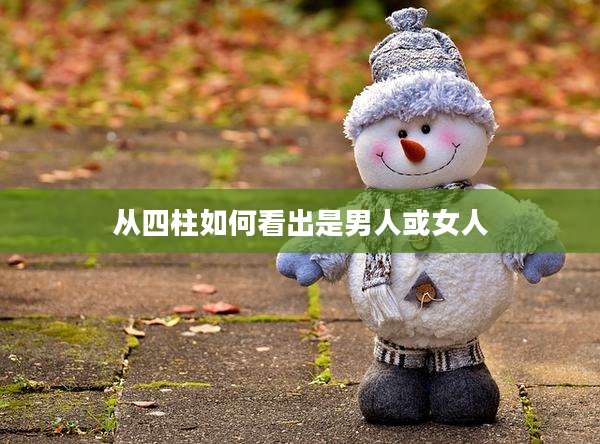 从四柱如何看出是男人或女人